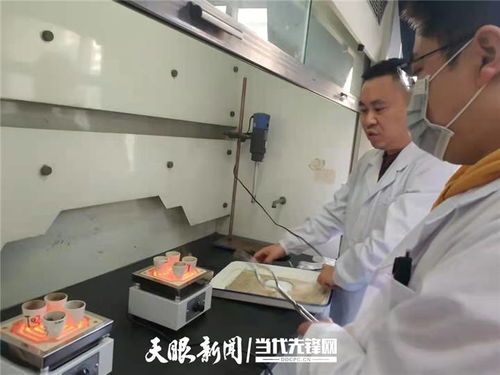貴州綠茶科研突破 納米技術榮登國家重要成果名錄